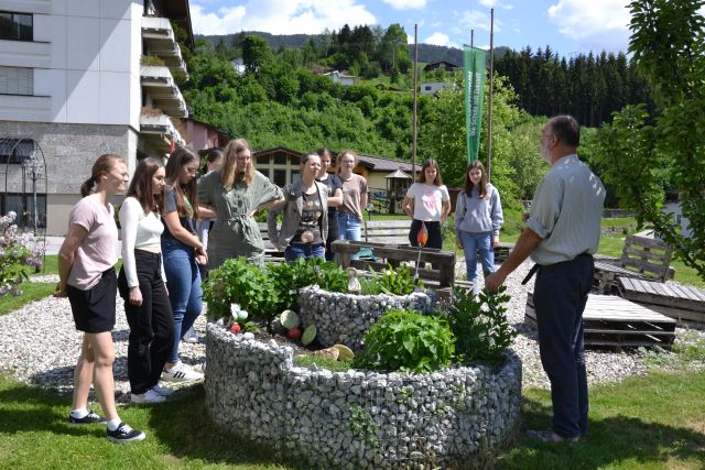 2ahl wildbienenvortrag