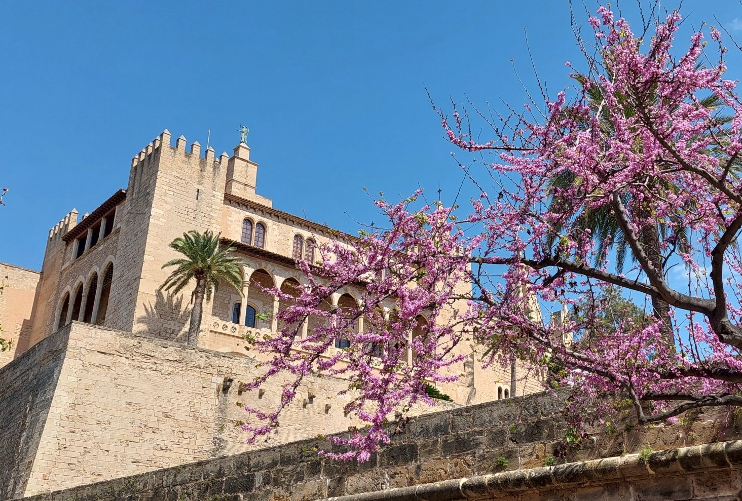 ¡Viva España! – Sprach- und Kulturwoche der 4AHL & 4CHL Elisabethinum auf Mallorca