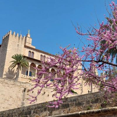 ¡Viva España! – Sprach- und Kulturwoche der 4AHL & 4CHL Elisabethinum auf Mallorca